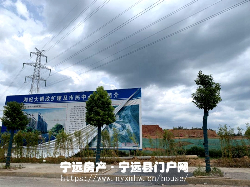 06.jpg