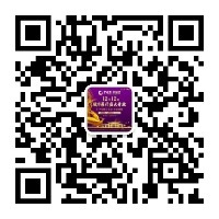 17307476116