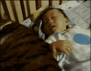 05.gif
