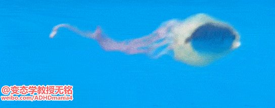 09.gif