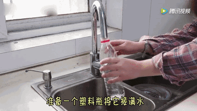 12.gif