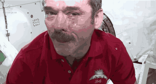 11.gif