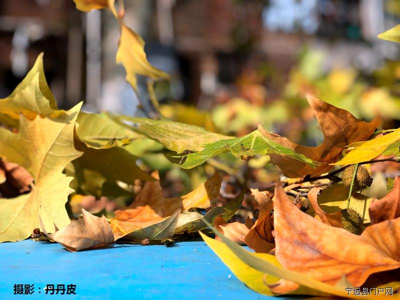 微信图片_20181125111848.jpg