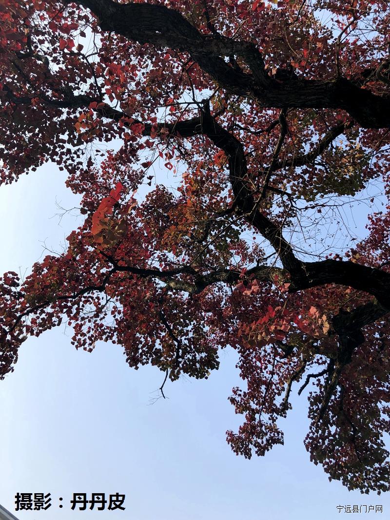 微信图片_20181125111854.jpg