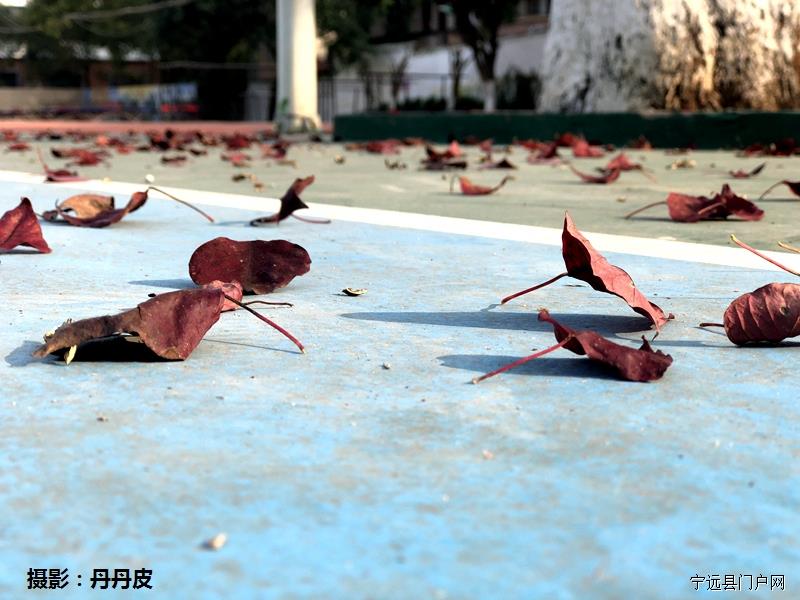 微信图片_20181125111856.jpg