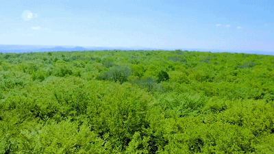 640.gif