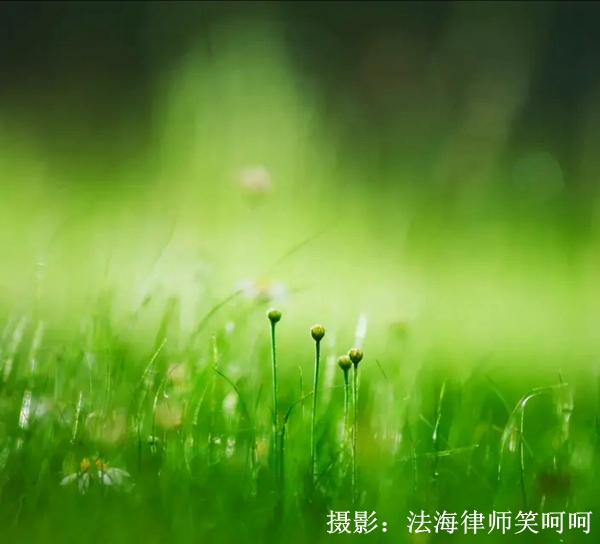 微信图片_20200328213619.jpg