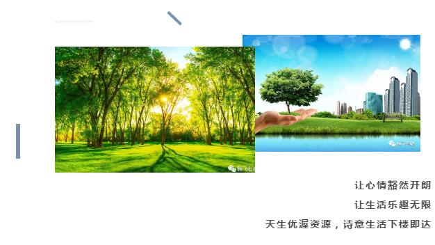 QQ截图20200428131201.jpg