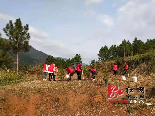 五龙山瑶族乡:巾帼凝聚党旗下 三八节前助春耕-宁远县门户网
