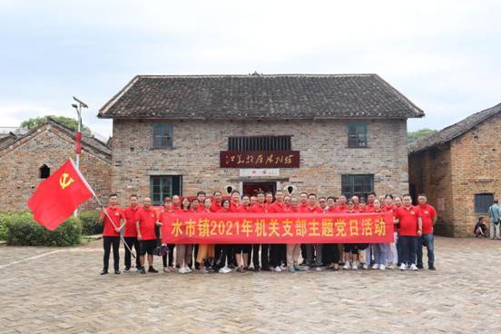 水市镇:开展庆祝建党100周年主题党日活动-宁远县门户网