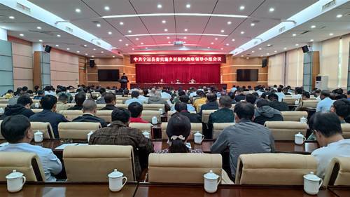 宁远县委实施乡村振兴战略领导小组会议召开-宁远县门户网